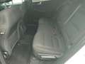 Ford Kuga ST-Line PHEV NAVI Klimaaut RFK PDC SHZ FSH LRH Tem Weiß - thumbnail 12