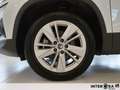 Skoda Karoq 2.0 tdi evo Selection 115cv Grigio - thumbnail 11