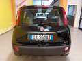 Fiat Panda PANDA 1.2 69CV 5 POSTI - KM 54000 - Schwarz - thumbnail 6