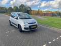 Fiat Panda 0.9 TwinAir Edition Cool Gris - thumbnail 15