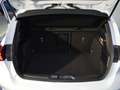 Ford Focus 1.0 Ecoboost MHEV ST-Line X 125 Blanco - thumbnail 16