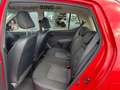 Hyundai i10 5 Star Edition 1.1 Servo TOP Zustand Rosso - thumbnail 13