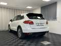 Porsche Cayenne 3.0 Diesel Lederpaket Luft Standheiz AHK Weiß - thumbnail 34