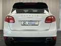 Porsche Cayenne 3.0 Diesel Lederpaket Luft Standheiz AHK Weiß - thumbnail 7