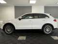 Porsche Cayenne 3.0 Diesel Lederpaket Luft Standheiz AHK Weiß - thumbnail 5