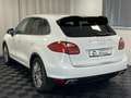 Porsche Cayenne 3.0 Diesel Lederpaket Luft Standheiz AHK Weiß - thumbnail 6