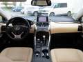Lexus NX 300h 300h 4WD Luxe - thumbnail 12