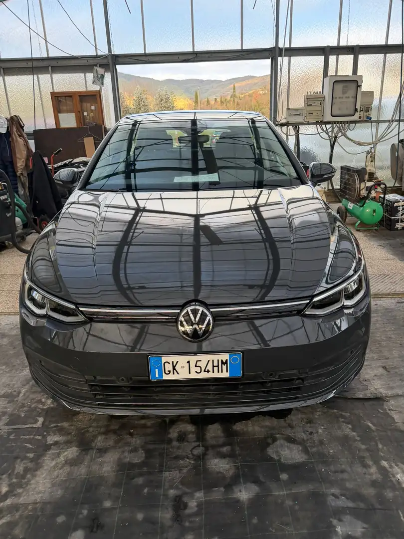 Volkswagen Golf Golf VIII 2020 2.0 tdi Life 115cv Gris - 2
