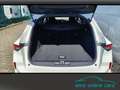 Opel Astra SportsTourer Edition ACC*Navi*LED*Kamera Weiß - thumbnail 10