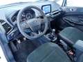 Ford EcoSport 1.0T ECOBOOST 92KW ST LINE 125CV 5P Weiß - thumbnail 16