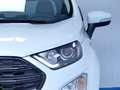 Ford EcoSport 1.0T ECOBOOST 92KW ST LINE 125CV 5P Weiß - thumbnail 12