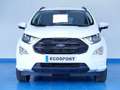 Ford EcoSport 1.0T ECOBOOST 92KW ST LINE 125CV 5P Weiß - thumbnail 2