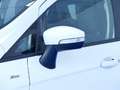 Ford EcoSport 1.0T ECOBOOST 92KW ST LINE 125CV 5P Weiß - thumbnail 14