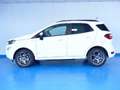 Ford EcoSport 1.0T ECOBOOST 92KW ST LINE 125CV 5P Weiß - thumbnail 6