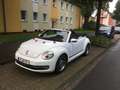 Volkswagen Beetle The Beetle Cabriolet 1.2 TSI CUP White - thumbnail 1