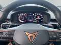 CUPRA Terramar 1.5 eTSI DSG HUD ACC Alarm 360° BLIS Kessy Grau - thumbnail 16
