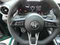 Alfa Romeo Tonale 1.3 280CV PHEV AT6 Q4 Speciale Verde - thumbnail 15