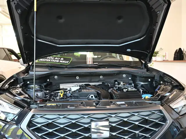 Seat Ateca view 29