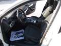 Audi A4 Avant 2.0 TDI 150 CV S.tronic Business Bianco - thumbnail 9