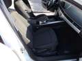 Audi A4 Avant 2.0 TDI 150 CV S.tronic Business Bianco - thumbnail 12