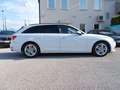 Audi A4 Avant 2.0 TDI 150 CV S.tronic Business Bianco - thumbnail 5