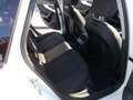 Audi A4 Avant 2.0 TDI 150 CV S.tronic Business Bianco - thumbnail 14
