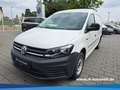 Volkswagen Caddy Maxi Kasten BMT 1.0 TSI EU6d-T Blanc - thumbnail 1
