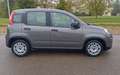 Fiat Panda Panda III 2021 Cross 1.0 firefly hybrid (Red) s Grigio - thumbnail 4