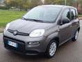 Fiat Panda Panda III 2021 Cross 1.0 firefly hybrid (Red) s Grigio - thumbnail 2