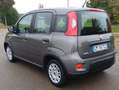 Fiat Panda Panda III 2021 Cross 1.0 firefly hybrid (Red) s Grigio - thumbnail 12