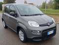 Fiat Panda Panda III 2021 Cross 1.0 firefly hybrid (Red) s Grigio - thumbnail 11