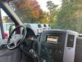 Mercedes-Benz Sprinter II 316 CDI L1H1 KAMERA/AHK/TÜV NEU ! Rojo - thumbnail 9