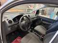Volkswagen Caddy 1.6 TDI 75 CV 5p. Trendline Grigio - thumbnail 18