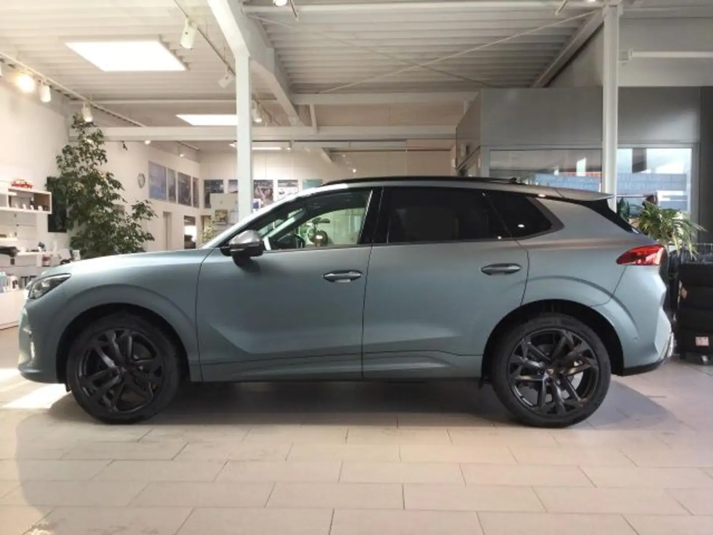 CUPRA Terramar Cupra  2.0 TSI DSG 4x4 Americas CUP AHK Grigio - 1