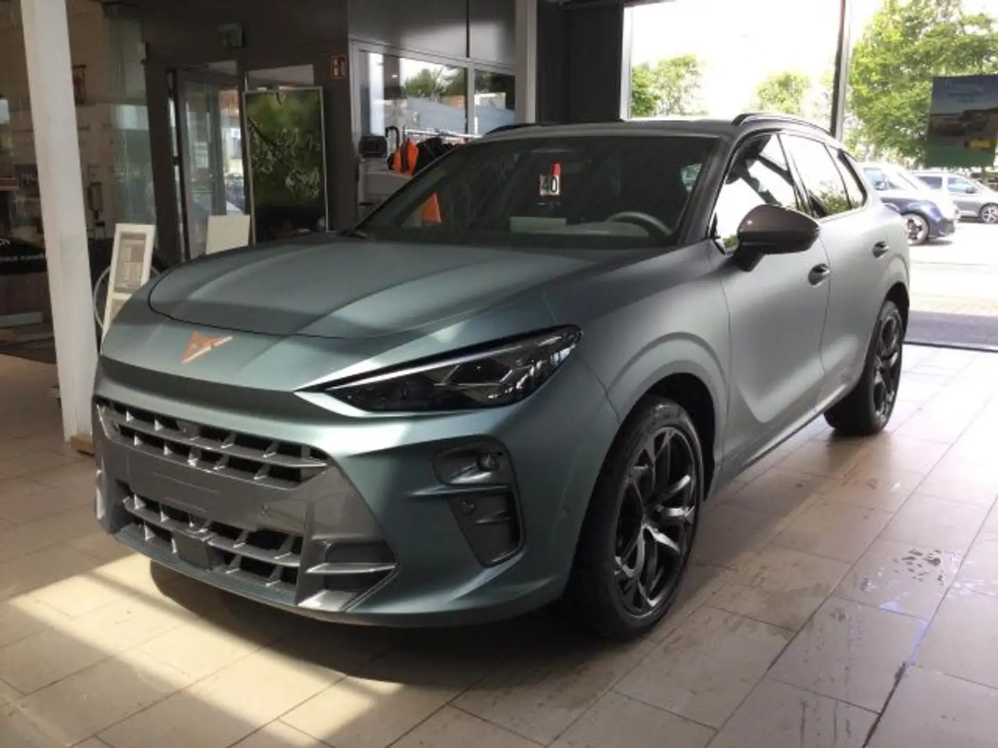 CUPRA Terramar Cupra  2.0 TSI DSG 4x4 Americas CUP AHK Grigio - 2