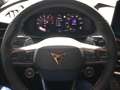 CUPRA Terramar Cupra  2.0 TSI DSG 4x4 Americas CUP AHK Grigio - thumbnail 13