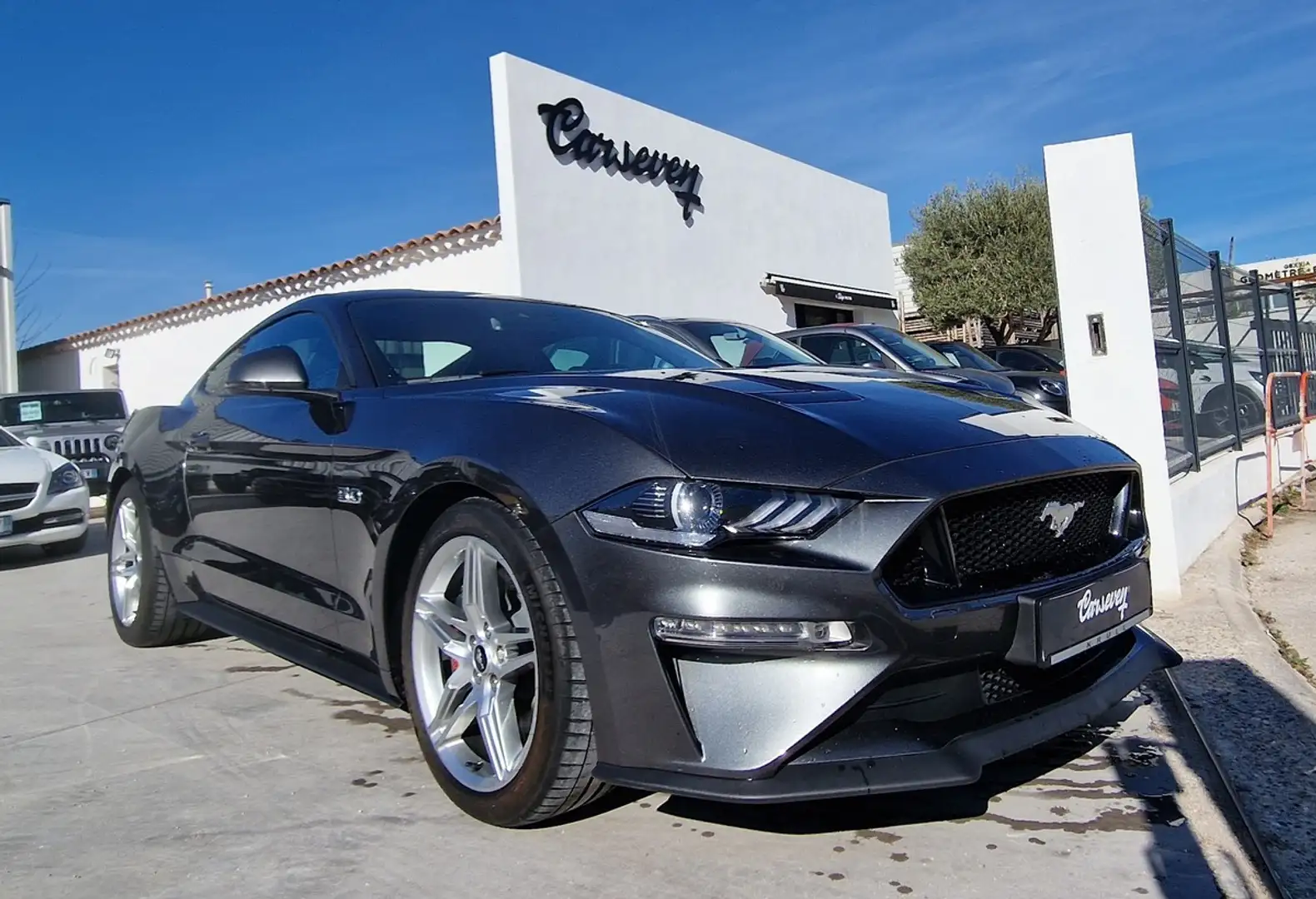 Ford Mustang 5.0 By Carseven Grigio - 1