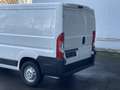 Peugeot Boxer 330 L1H1 Pro BlueHDi 110 Klima Rü-Kamera Білий - thumbnail 32