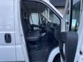 Peugeot Boxer 330 L1H1 Pro BlueHDi 110 Klima Rü-Kamera Білий - thumbnail 20