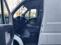 Peugeot Boxer 330 L1H1 Pro BlueHDi 110 Klima Rü-Kamera Білий - thumbnail 13