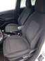 Ford Fiesta Fiesta VII 2017 5p 5p 1.5 ecoblue ST-Line s Bianco - thumbnail 9