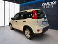 Fiat Panda 1.0 firefly hybrid s&s 70cv 5p.ti - PROMO Blanco - thumbnail 5