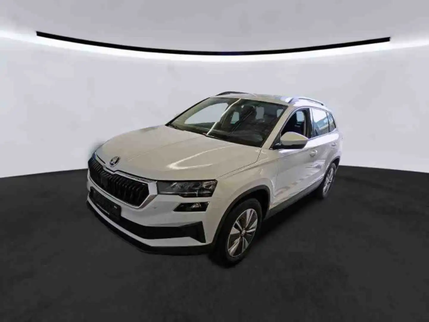 Skoda Karoq Ambition 2.0TDI 4x4 DSG LED Navi RFK AHK Wit - 1