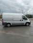 Fiat Ducato luftfederung , klima , standheizung Grau - thumbnail 2