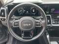 Kia Sorento 1.6 T-GDI Plug-in Hybrid 4WD ExecutiveLine | Pano Zwart - thumbnail 13