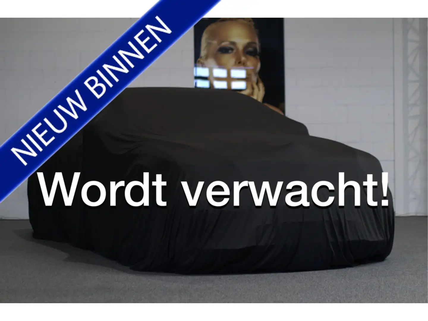 Jeep Wrangler 2.5i Softtop Youngtimer! Gris - 1