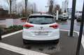 Renault Scenic Intens TCe 160 EDC*Automatik*Navi* White - thumbnail 5