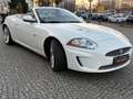 Jaguar XKR XKR 5.0 Kompressor Cabriolet Blanc - thumbnail 4