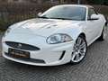 Jaguar XKR XKR 5.0 Kompressor Cabriolet Blanc - thumbnail 2
