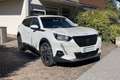 Peugeot 2008 2008 BlueHDi 110 S&S Allure Pack Bianco - thumbnail 3